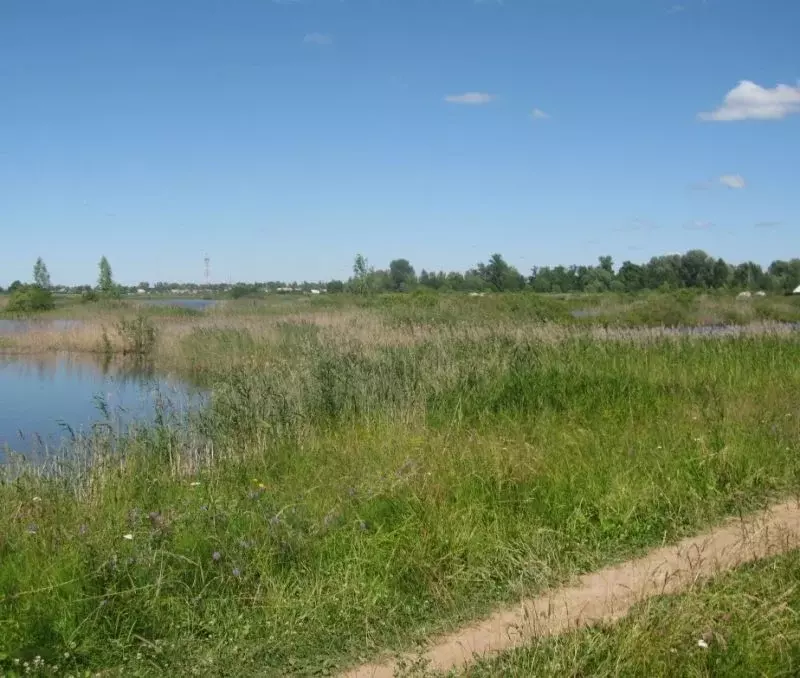 участок в новгородская область, старорусский район, великосельское . - Фото 1