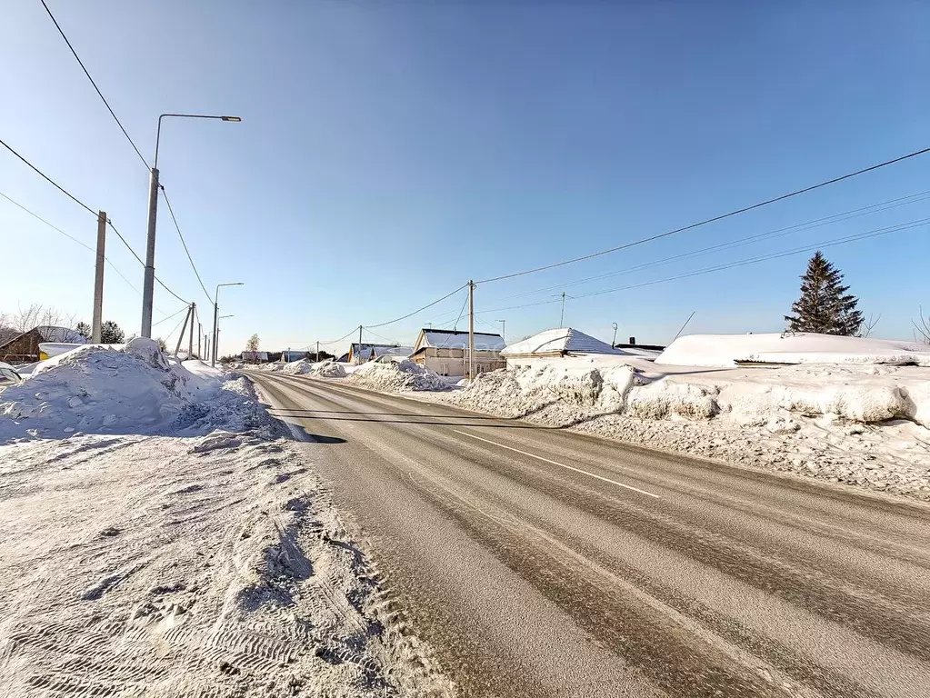 Участок в Новосибирская область, Новосибирский район, Станционный ... - Фото 1