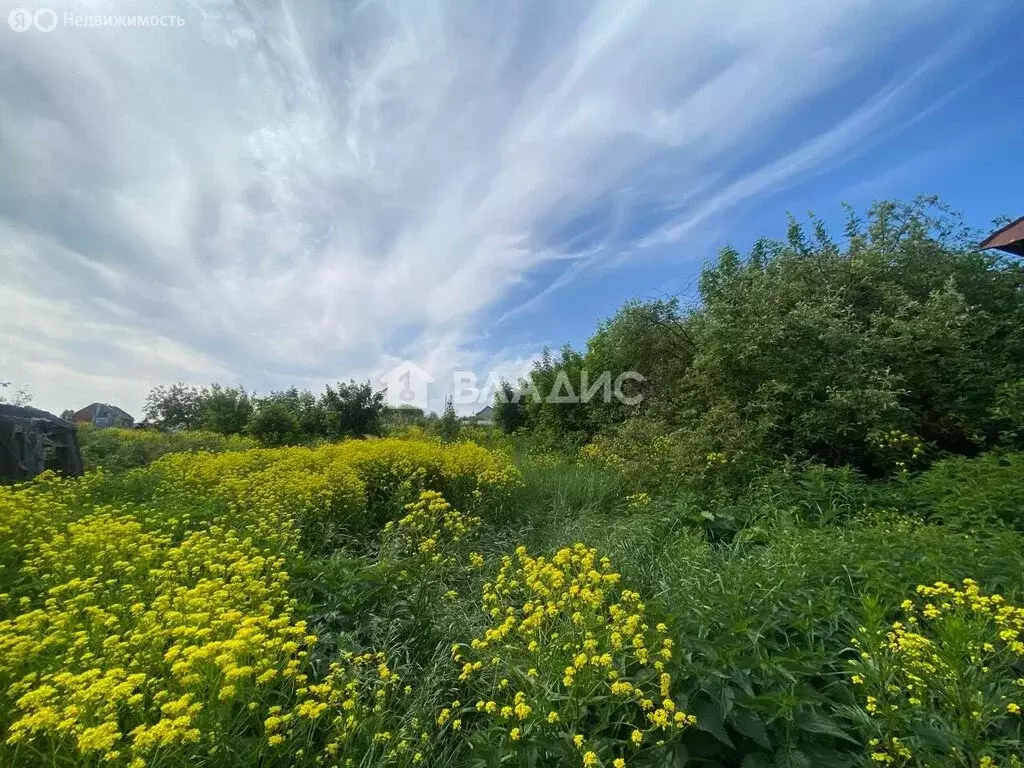 Участок в село Рамзай, улица Алексеевка, 59 (38 м) - Фото 1