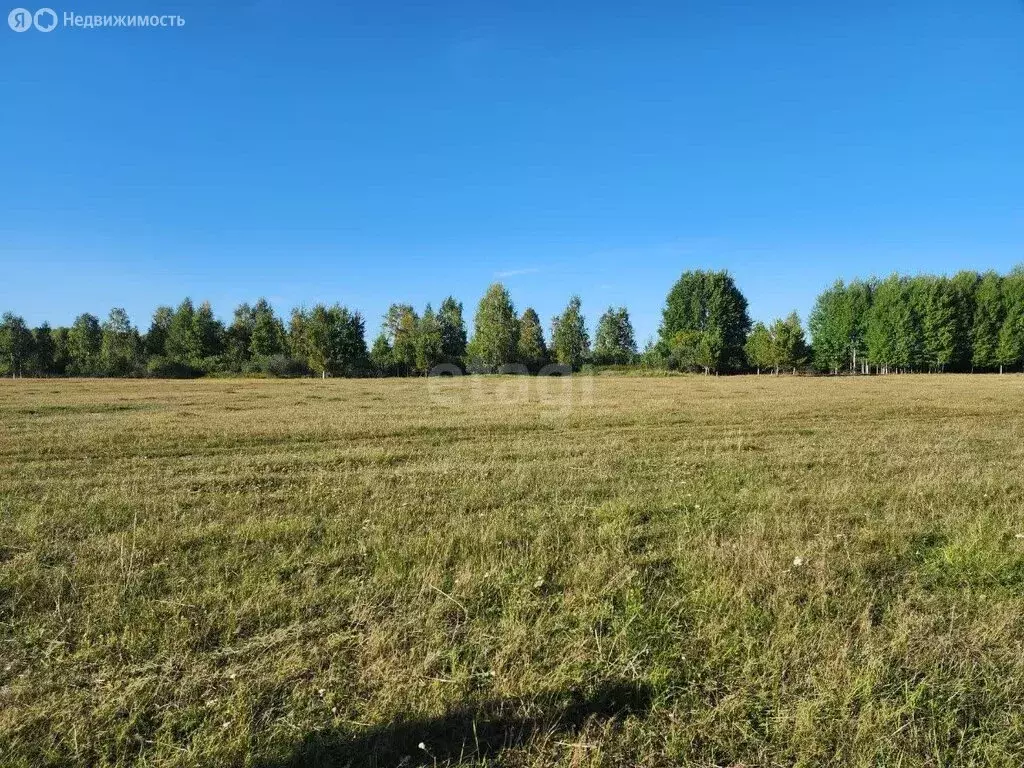 Участок в Нижнетавдинский район, деревня Московка, Центральная улица ... - Фото 0