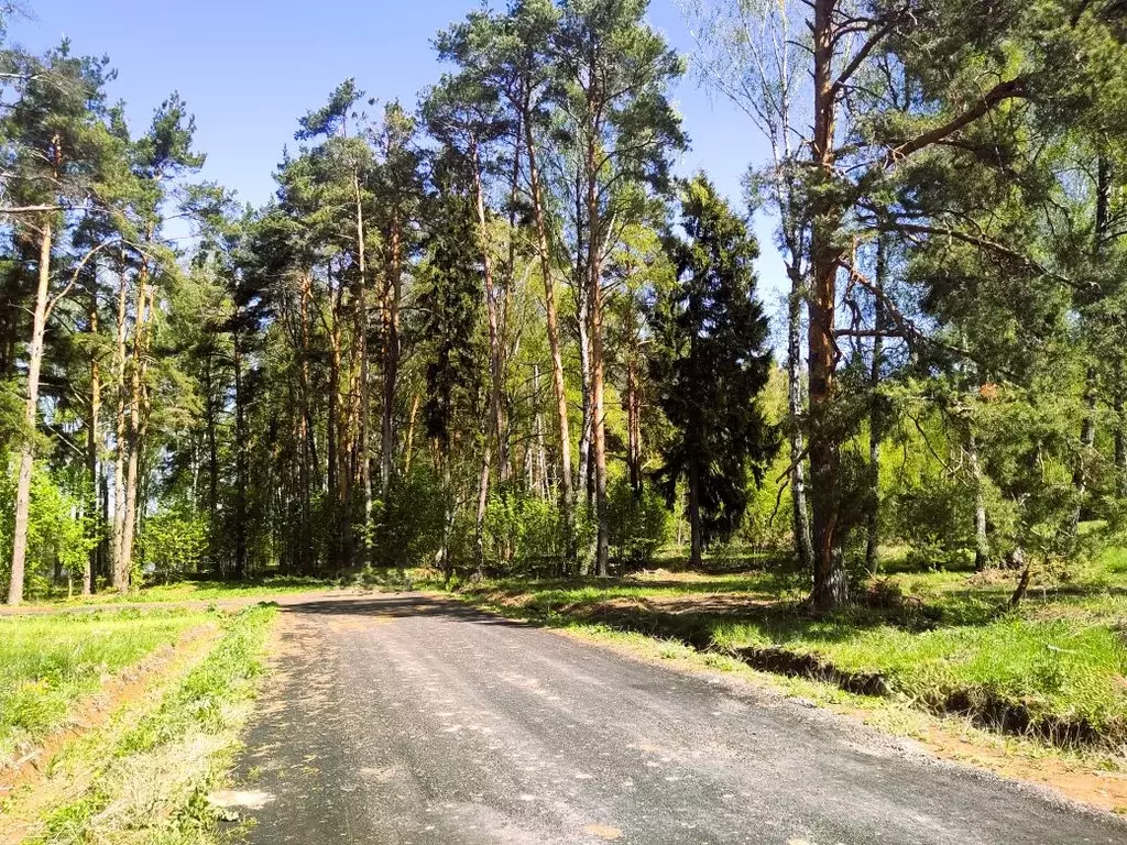 Участок в Московская область, Ступино городской округ, Сосны Вилладж ... - Фото 2