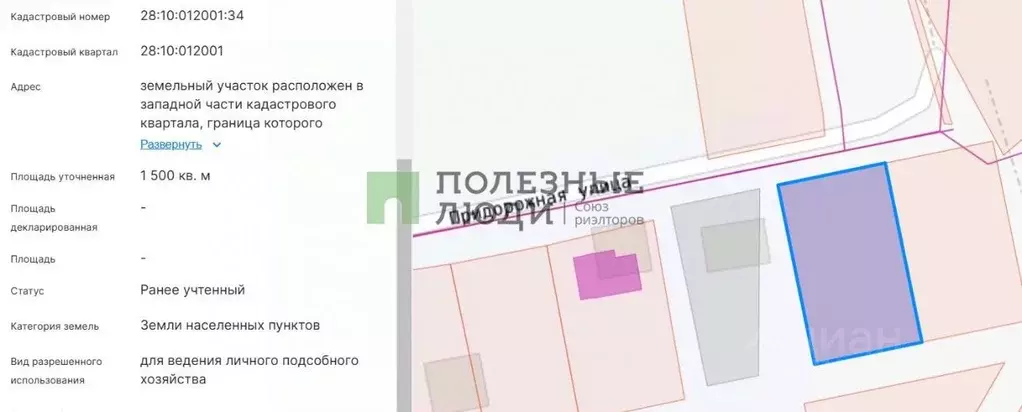 Участок в Амурская область, Благовещенский район, с. Владимировка ул. ... - Фото 2