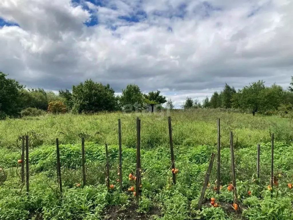 Участок в Тюменская область, Тюмень  (8.27 сот.) - Фото 2