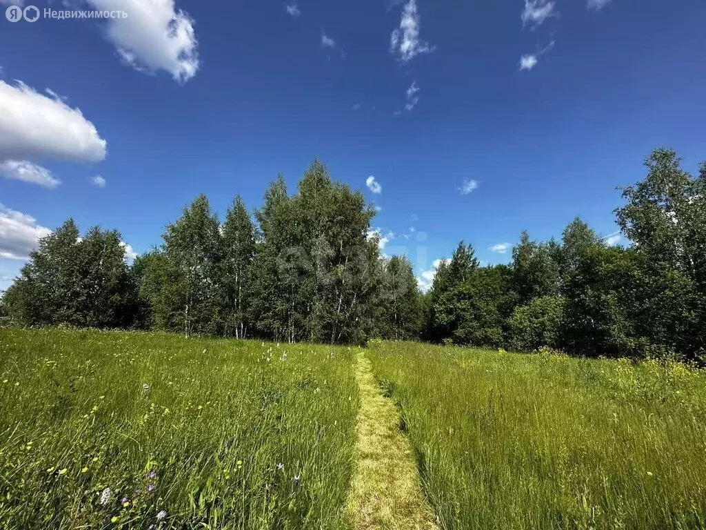 Участок в Ярославская область, Тутаевский муниципальный округ, деревня ... - Фото 1