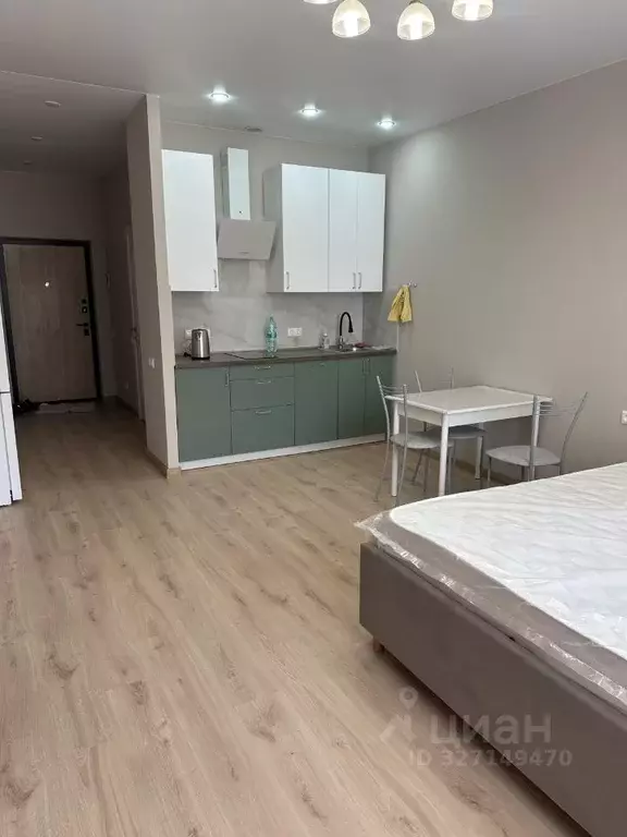 Студия Москва пер. 1-й Котляковский, 4к1 (30.0 м) - Фото 2