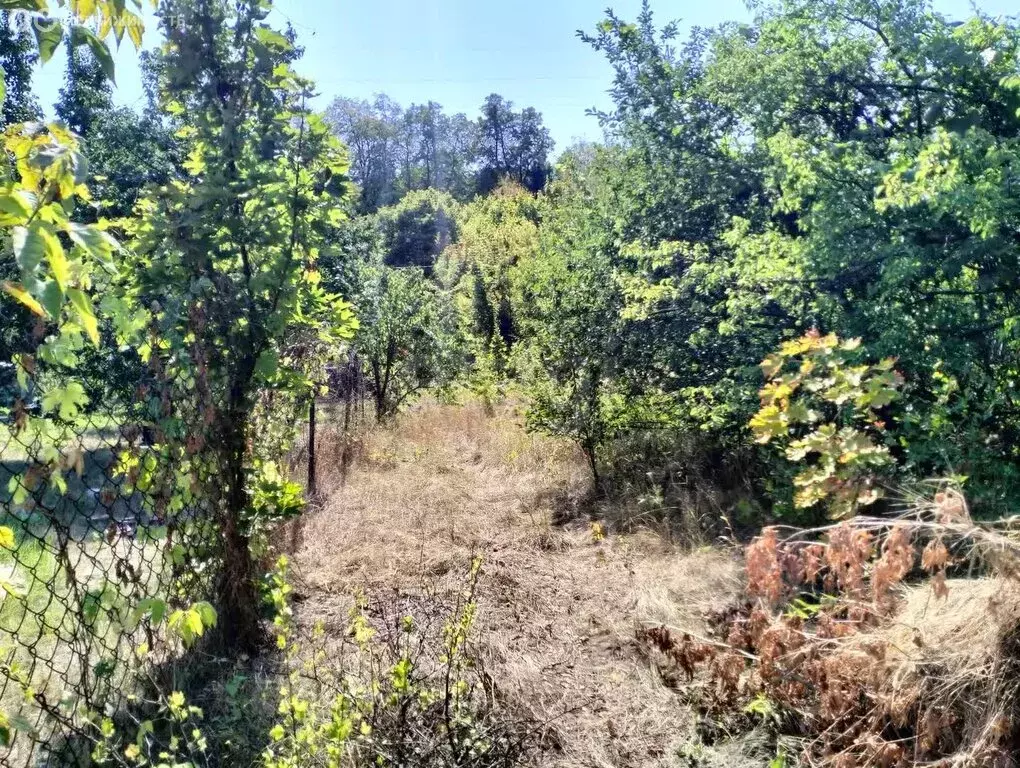 Участок в Саратов, СНТ Мечта-1 (5.3 м) - Фото 1