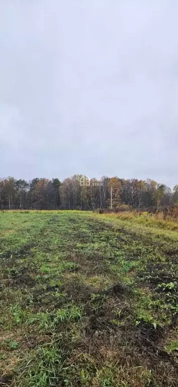 Участок в Калужская область, Ферзиковский муниципальный округ, Красный ... - Фото 1