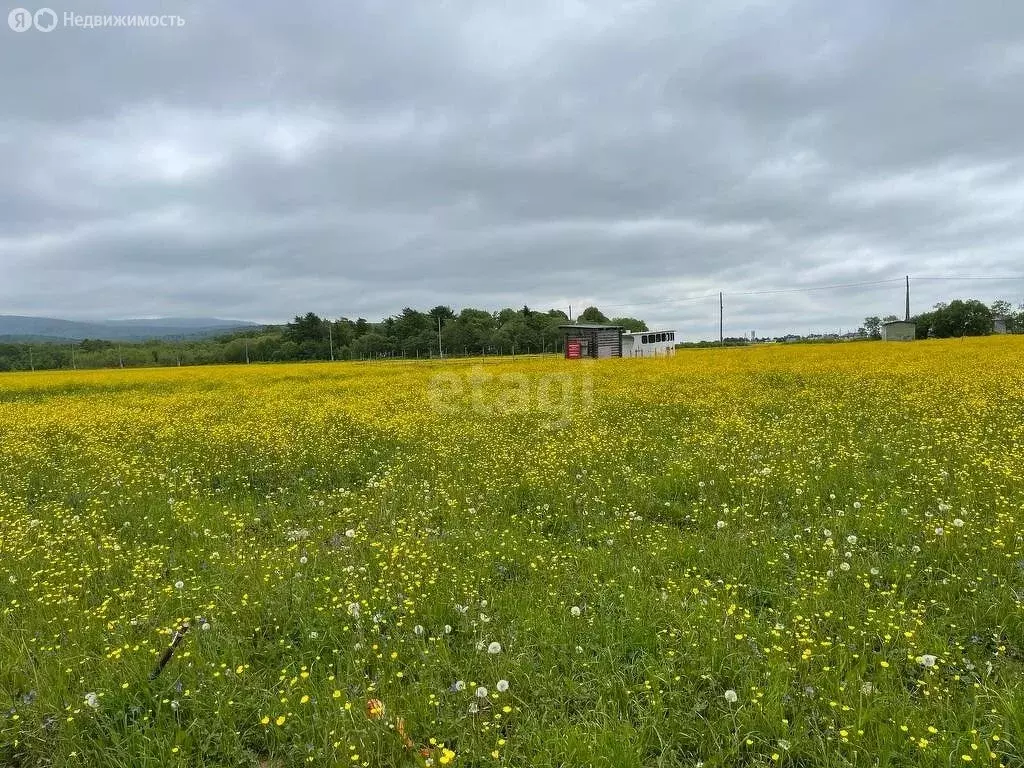 Участок в Сахалинская область, городской округ Южно-Сахалинск, село ... - Фото 1