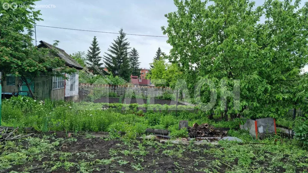 участок в омск, садоводческое некоммерческое товарищество . - Фото 0