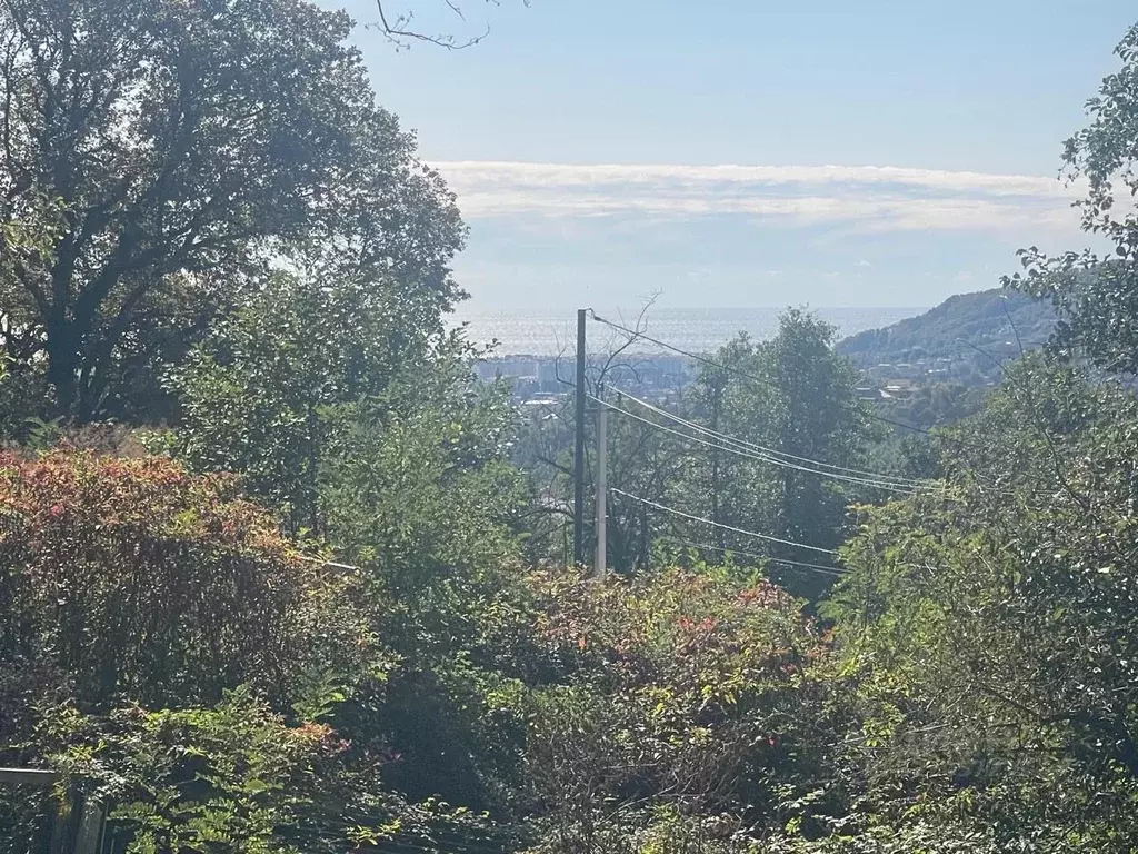 Участок в Краснодарский край, Сочи городской округ, с. Нижняя Шиловка ... - Фото 1