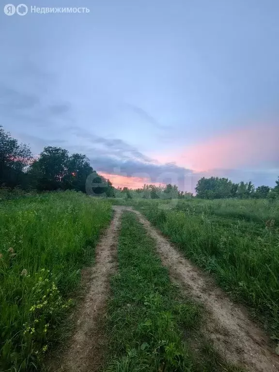 Участок в Пермский муниципальный округ, посёлок Красный Восход (16.51 ... - Фото 2