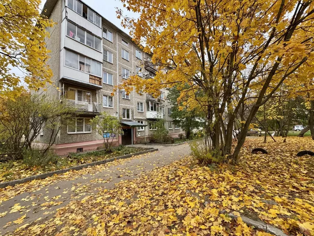 3-к кв. Владимирская область, Киржач ул. 40 лет Октября, 40 (58.4 м) - Фото 1