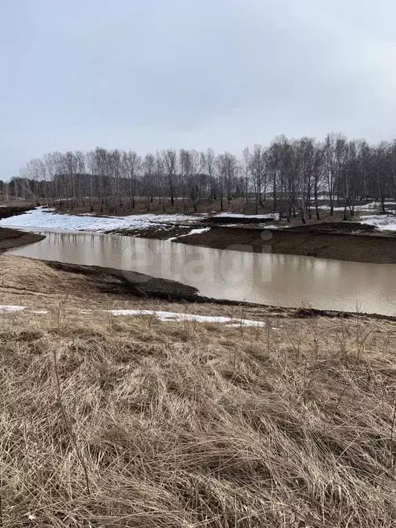 Участок в Тюменская область, Тюменский муниципальный округ, ... - Фото 1