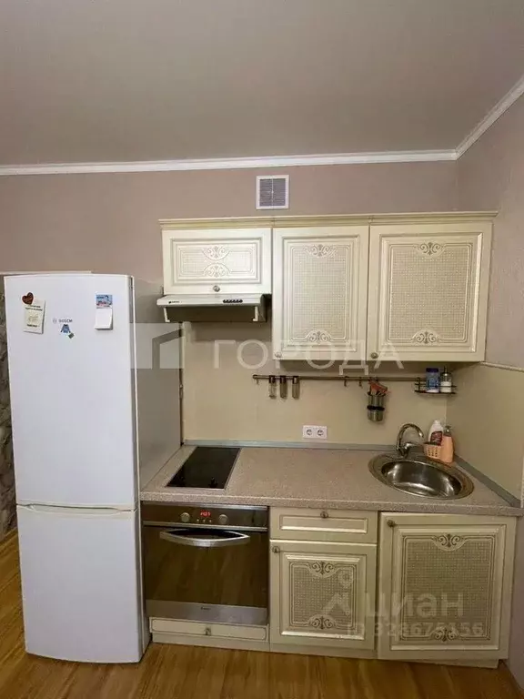 Студия Новосибирская область, Новосибирск Первомайская ул., 226 (27.0 ... - Фото 2