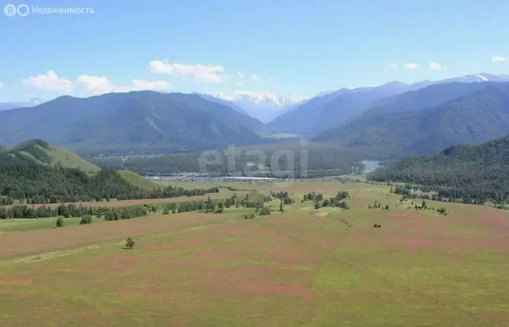 Участок в Усть-Коксинский район, село Горбуново (100 м) - Фото 1