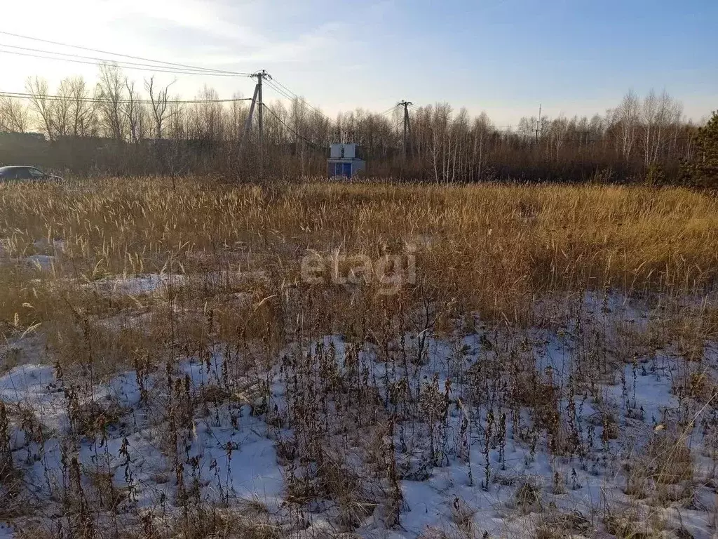 Участок в Курганская область, Шадринск ул. Коурова (10.0 сот.) - Фото 0