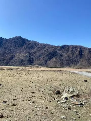 Участок 10 сот. (СНТ, ДНП) - Фото 0