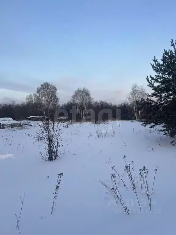 Участок в Томская область, Томск Сплавная ул. (625.0 сот.) - Фото 2