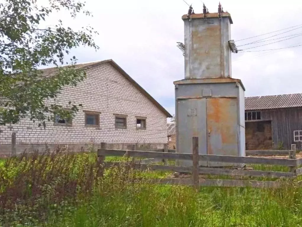 Производственное помещение в Новгородская область, Окуловское ... - Фото 1