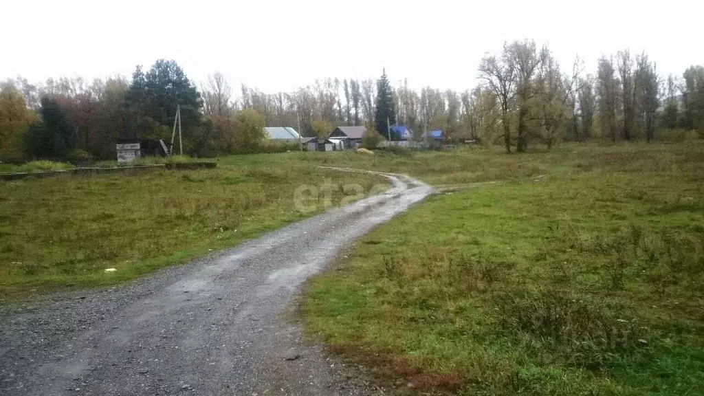 Участок в Кировская область, Свечинский муниципальный округ ул. ... - Фото 1