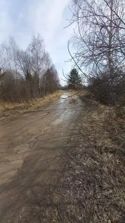 Участок в Владимирская область, Камешковский район, Второвское ... - Фото 1