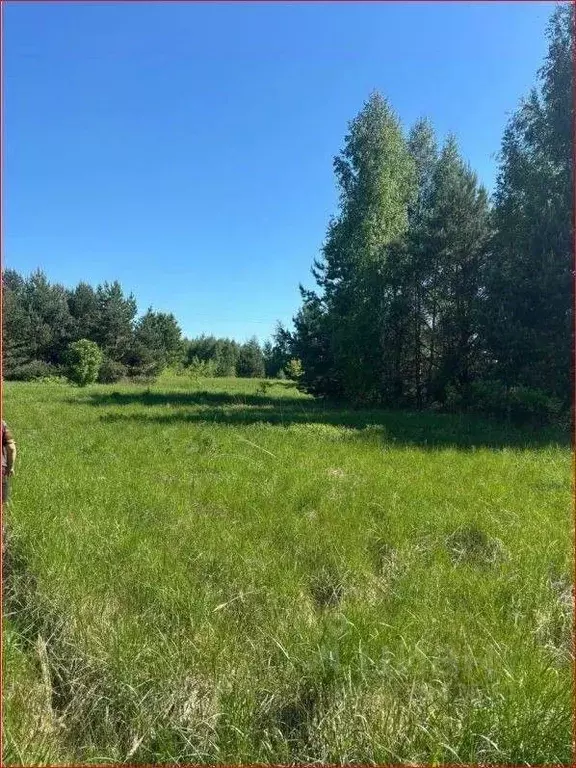 Участок в Нижегородская область, Заволжье г. Городецкий муниципальный ... - Фото 2