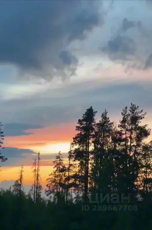 Дом в Ленинградская область, Приозерский район, Сосновское с/пос, Дача ... - Фото 0