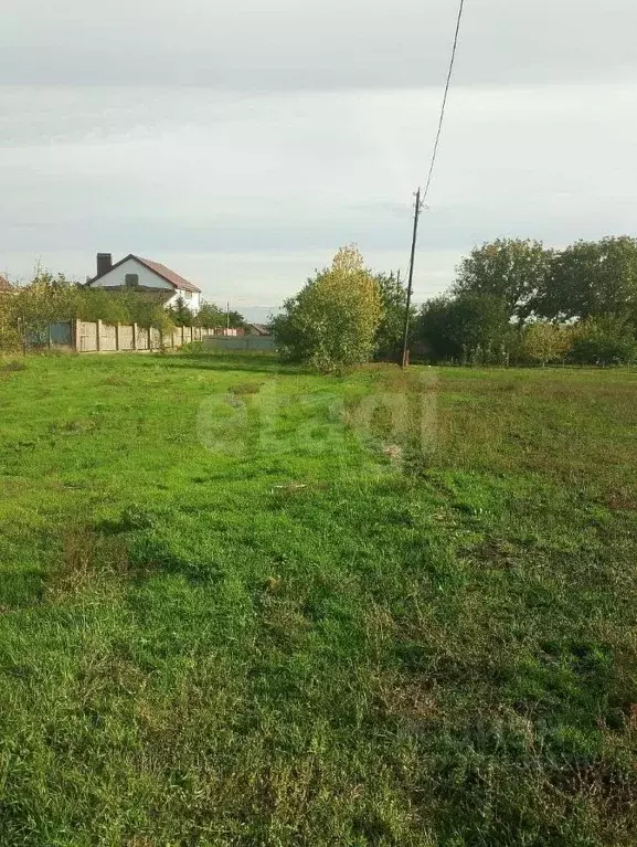 Участок в Ростовская область, Мясниковский район, Краснокрымское ... - Фото 1