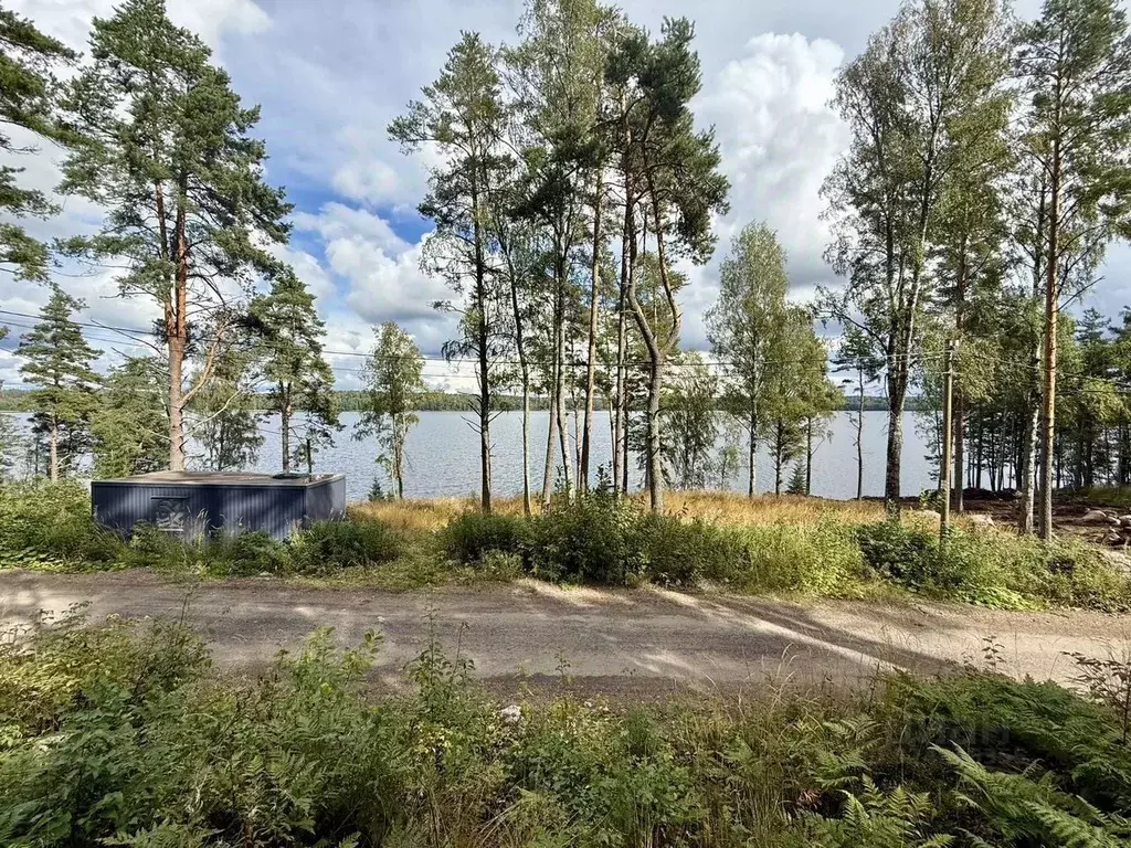 Участок в Ленинградская область, Выборгский район, Приморское ... - Фото 1