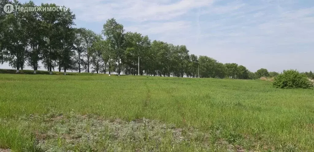 Купить Участок В Малых Брусянах Свердловская Область