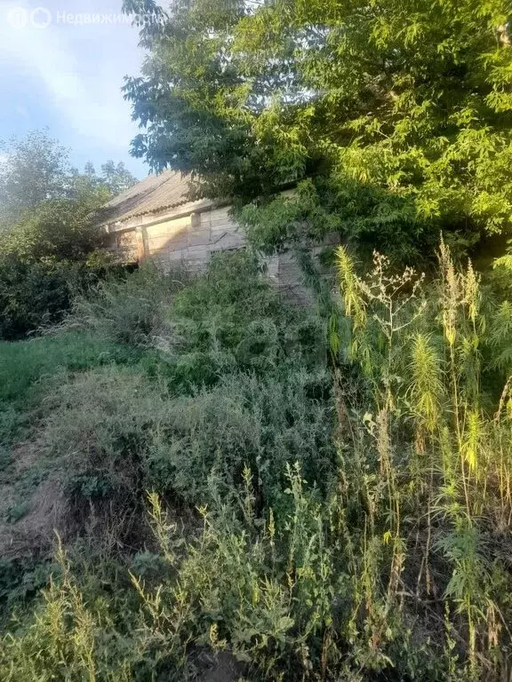 Дом в Лысые Горы, улица Зелёный Клин, 37 (39.1 м) - Фото 1