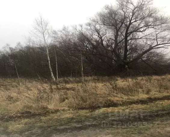 Участок в Московская область, Зарайск муниципальный округ, д. ... - Фото 2