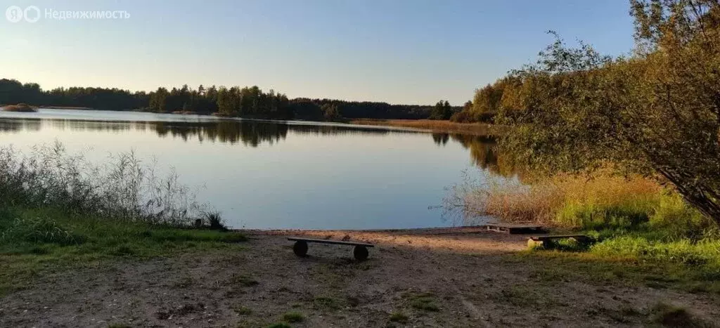 Участок в посёлок Ромашки, Береговая улица (11.53 м) - Фото 1