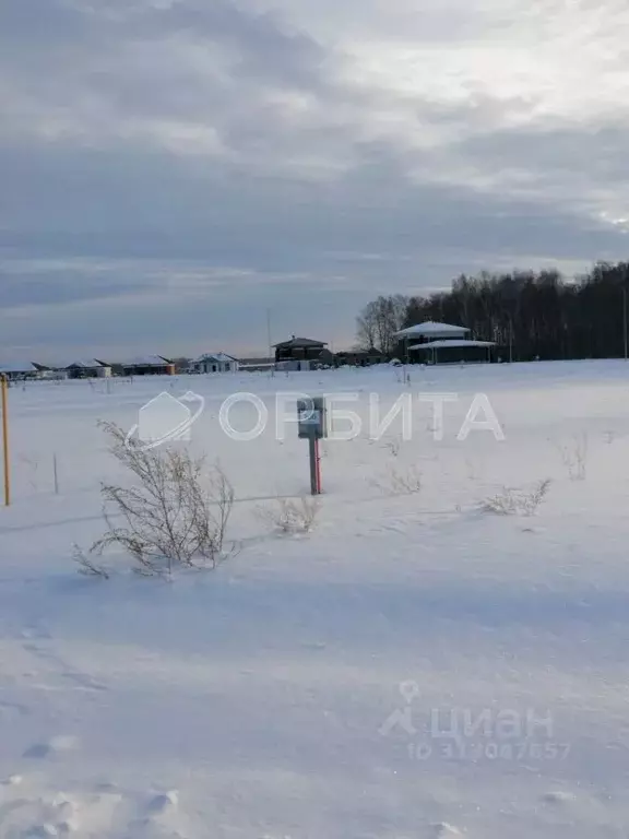 Участок в Тюменская область, Тюменский район, с. Каменка, Завидово кп  ... - Фото 1