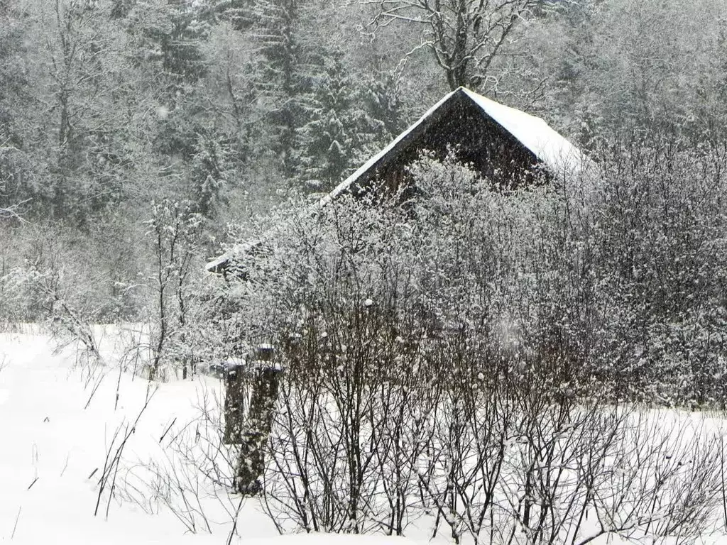 Участок в Московская область, Серпухов городской округ, Воронино СНТ ... - Фото 1