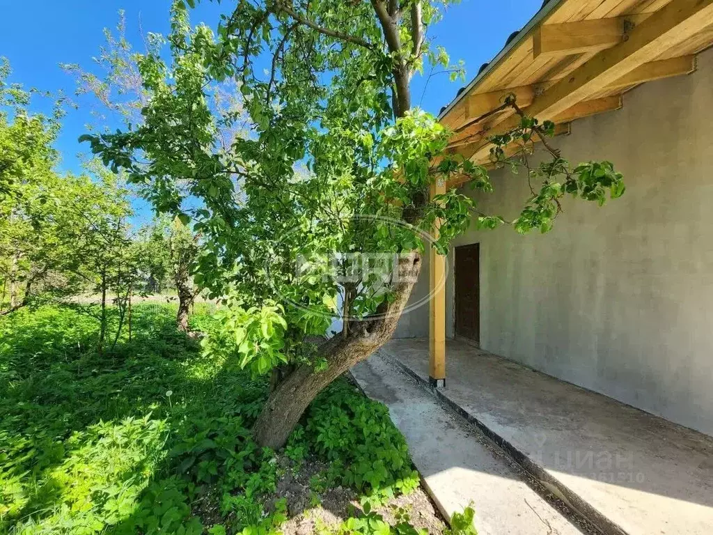 Дом в Калининградская область, Янтарный городской округ, пос. Синявино ... - Фото 1