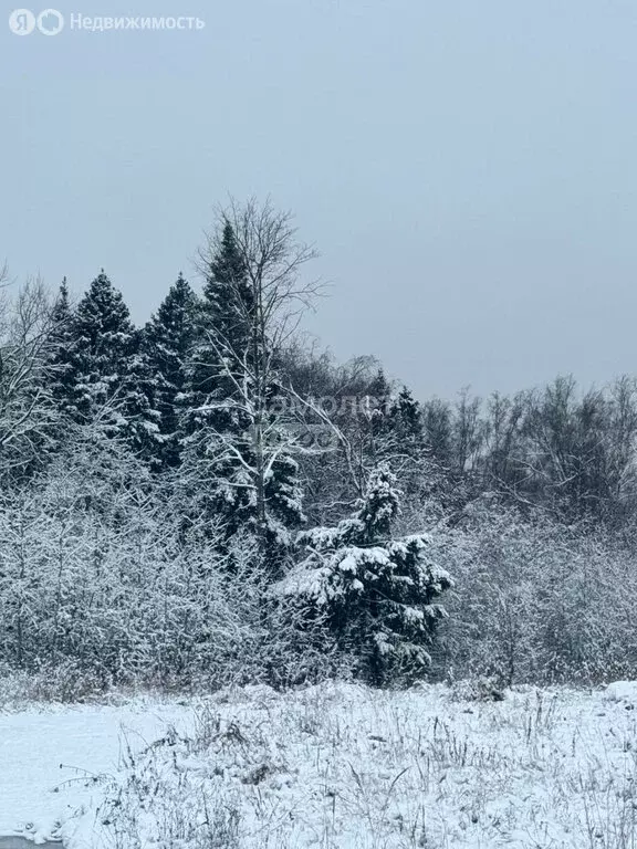 Участок в Московская область, городской округ Солнечногорск (1 м) - Фото 0