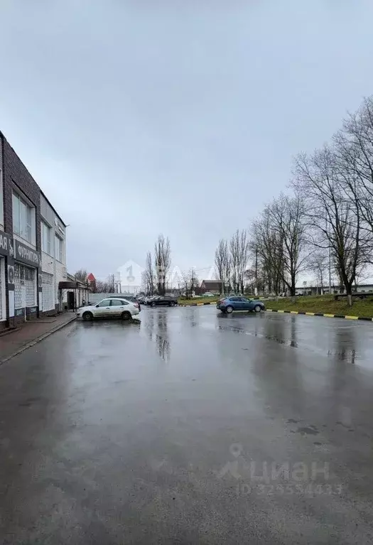 Офис в Белгородская область, Старый Оскол ул. Мира, 2А (30 м) - Фото 2