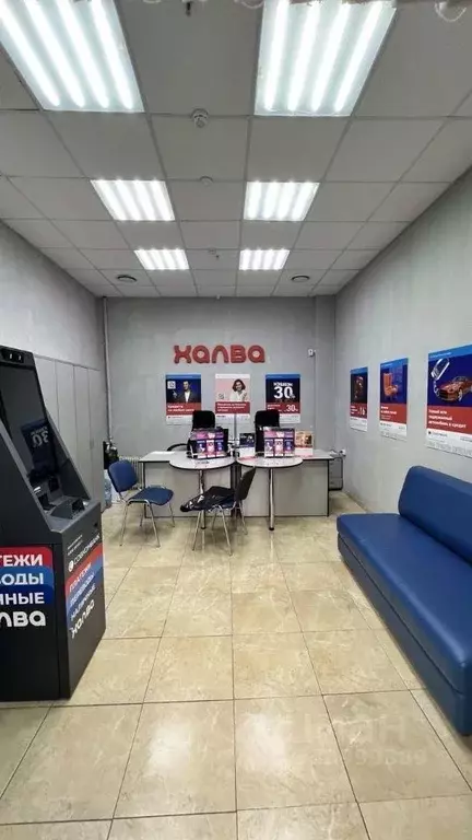 Торговая площадь в Белгородская область, Белгород ул. Конева, 2зд1 (20 ... - Фото 1