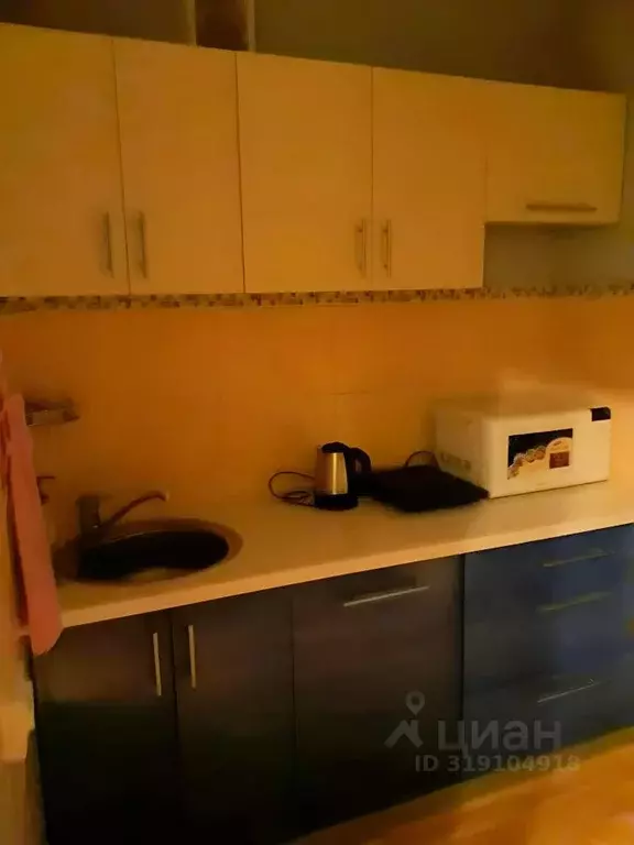 Студия Новосибирская область, Новосибирск Нижегородская ул., 24/1 ... - Фото 0