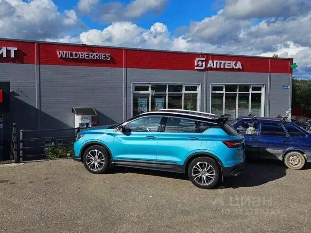 Торговая площадь в Московская область, Истра муниципальный округ, д. ... - Фото 1