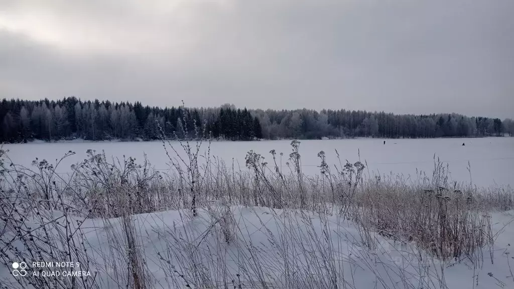 Дом в Чувашия, Чебоксарский муниципальный округ, д. Сархорн ул. ... - Фото 1