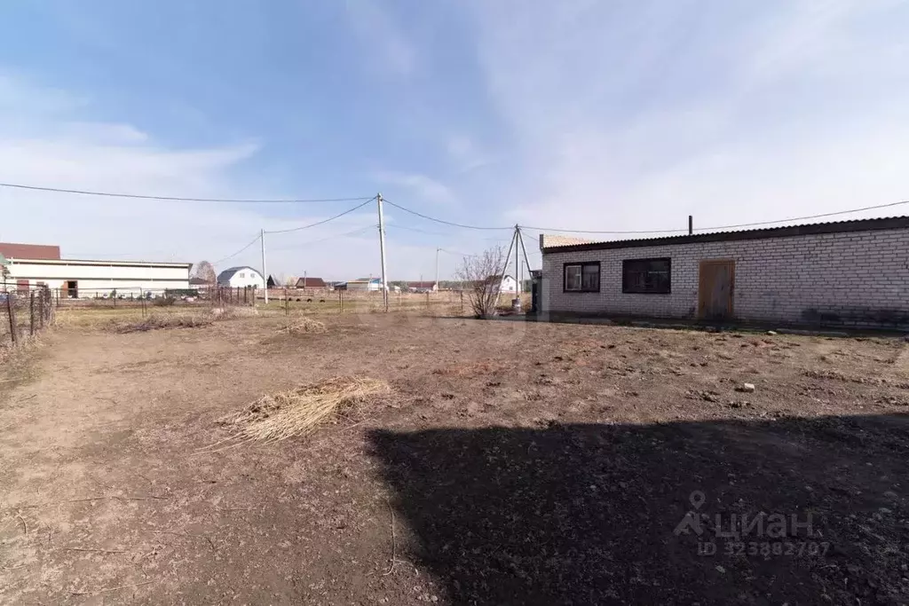 Участок в Алтайский край, Новоалтайск ул. Перфишина (5.5 сот.) - Фото 1
