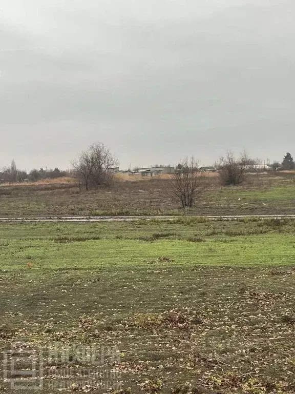 Участок в Волгоградская область, Среднеахтубинский район, Фрунзенское ... - Фото 2