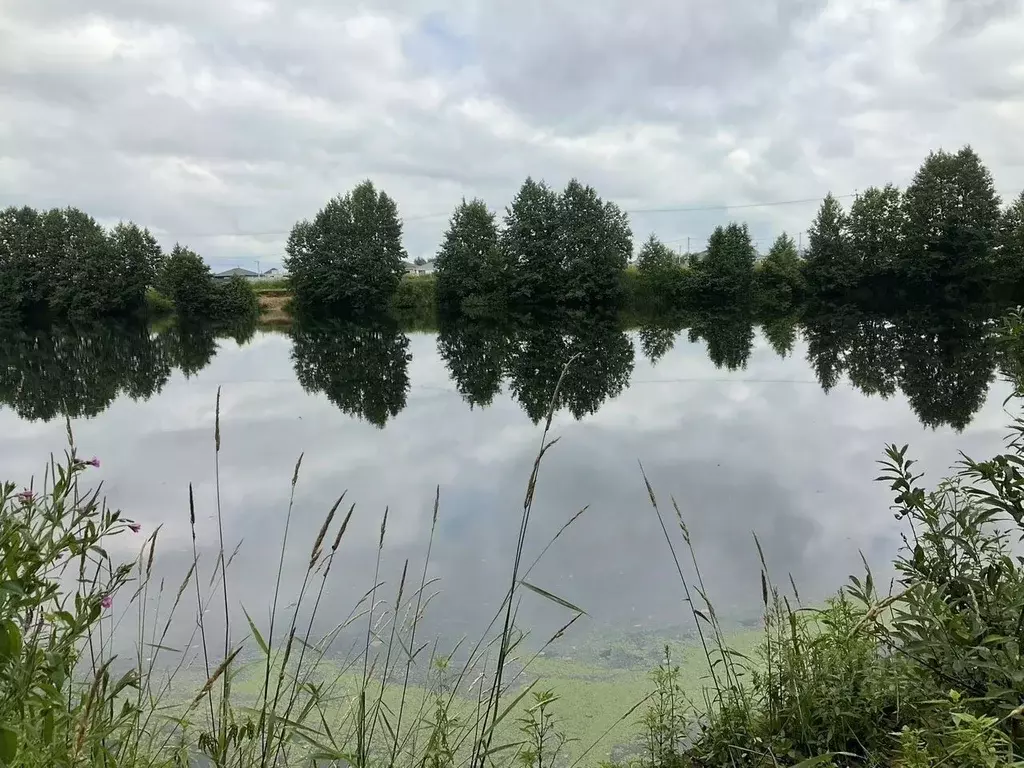 Коттедж в Московская область, Щелково городской округ, д. Шевелкино, ... - Фото 2