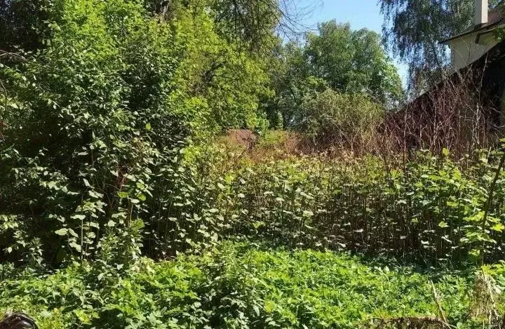 Участок в Московская область, Одинцовский городской округ, пос. ... - Фото 1