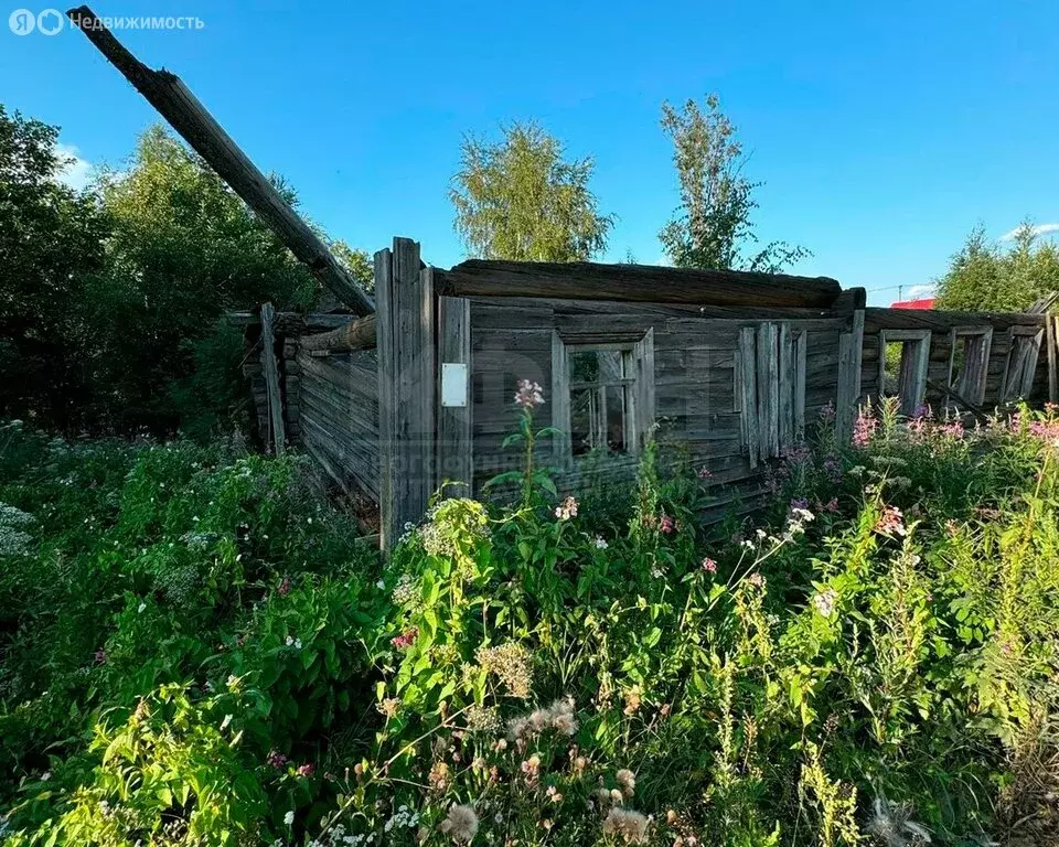 Участок в Пряжинский район, село Святозеро (15 м) - Фото 1