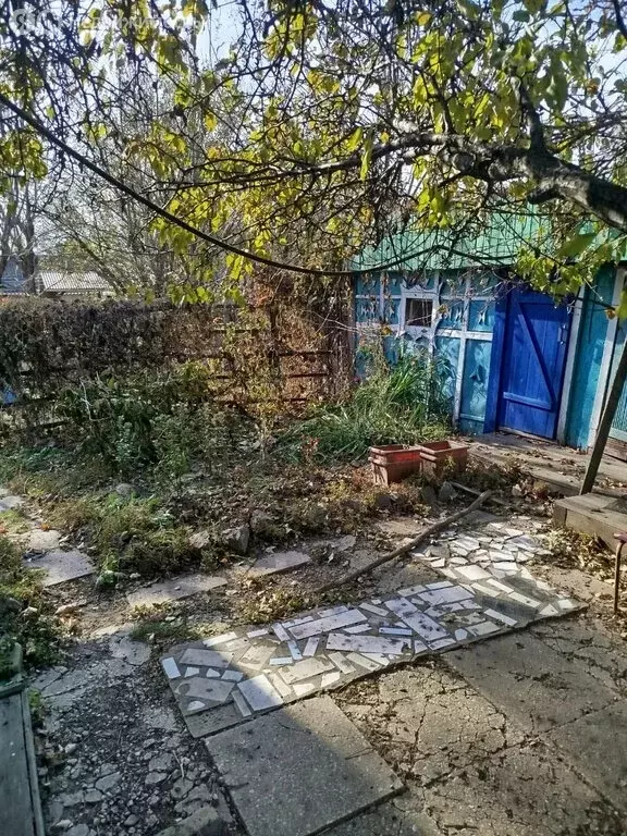 Дом в Смидовичский район, село Владимировка, улица Лазо, 15 (24 м) - Фото 1