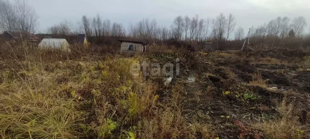 Участок в Новосибирская область, Новосибирск Дельфин СНТ, 60 (6.0 ... - Фото 1