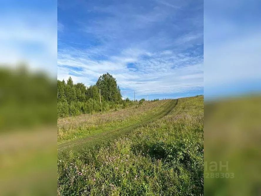 Участок в Алтай, Горно-Алтайск ул. Ленина (1000.0 сот.) - Фото 1